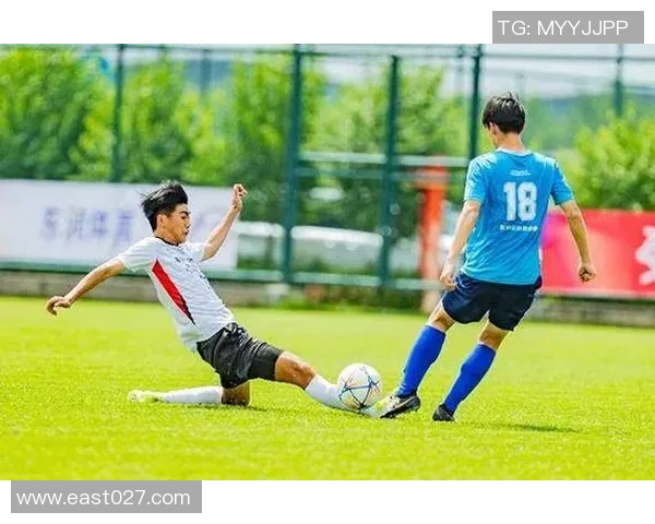 我心中的足球英雄与梦想追逐的旅程 我心中的足球英雄与梦想追逐的旅程