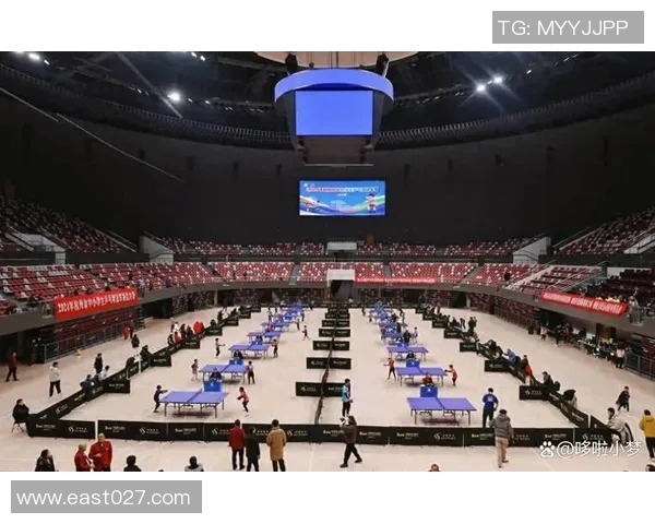 杭州乒乓球队在冠军赛中的卓越表现与力量分析