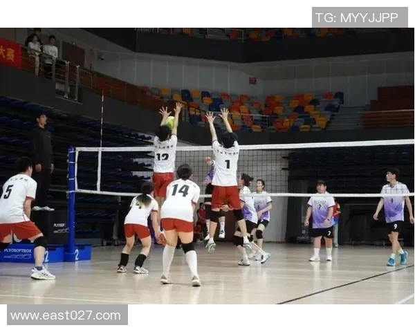 排球盛宴:深入解析杭州排球队的耐力训练与竞技精神 排球盛宴:深入解析杭州排球队的耐力训练与竞技精神