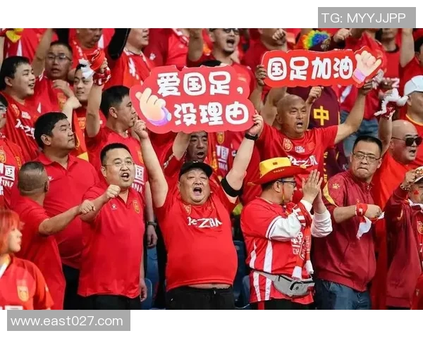 突破极限的勇者有残疾的足球明星如何在绿茵场上书写传奇