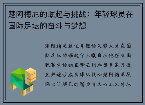 楚阿梅尼的崛起与挑战：年轻球员在国际足坛的奋斗与梦想