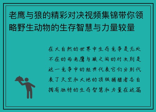 老鹰与狼的精彩对决视频集锦带你领略野生动物的生存智慧与力量较量